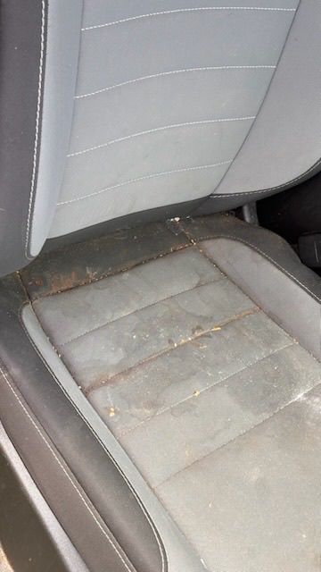 Before: neglected car interior — San Diego auto detailing